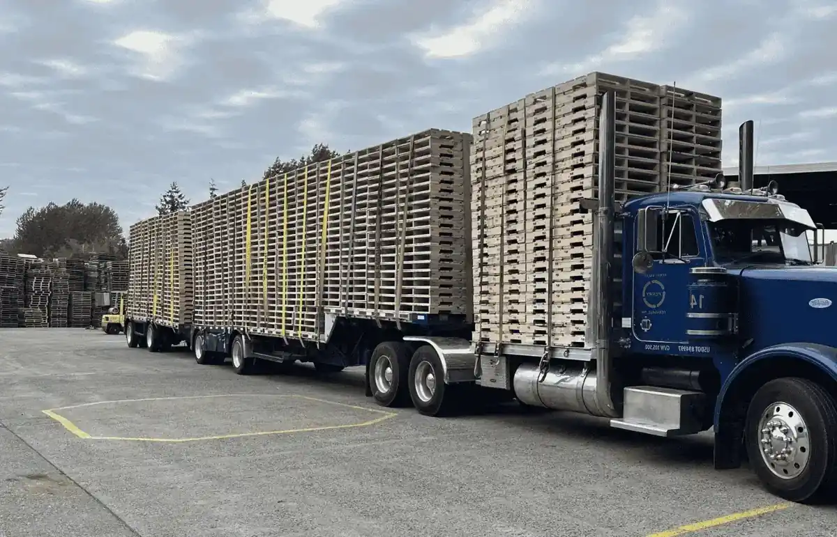 City Wood Carpentry wooden pallet warehouse Sharjah UAE delivery